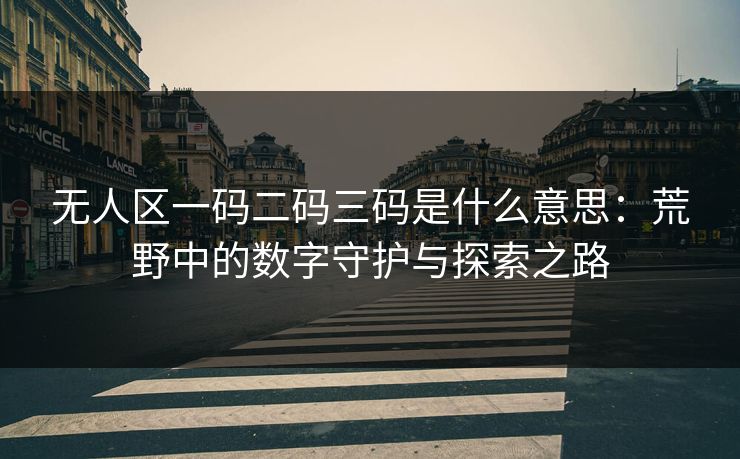无人区一码二码三码是什么意思:荒野中的数字守护与探索之路 无人区一码二码三码是什么意思:荒野中的数字守护与探索之路